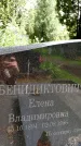 Захоронение ID 3567856
