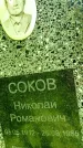 Захоронение ID 3567891