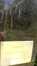 Захоронение ID 3567895