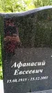 Захоронение ID 3567904