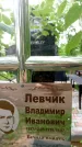 Захоронение ID 3568004