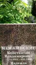 Захоронение ID 3568007