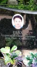 Захоронение ID 3568015