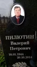Захоронение ID 3568033