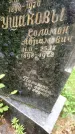 Захоронение ID 3568057