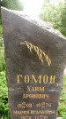 Захоронение ID 3568072