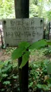 Захоронение ID 3568075