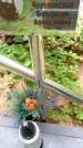 Захоронение ID 3568099