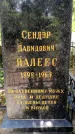 Захоронение ID 3568122