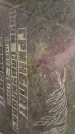 Захоронение ID 3568172