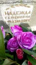 Захоронение ID 3568189