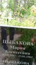 Захоронение ID 3568258