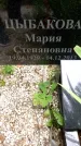 Захоронение ID 3568259