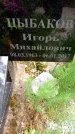 Захоронение ID 3568264