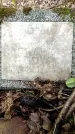 Захоронение ID 3568329