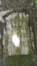 Захоронение ID 3568352