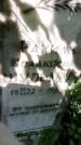 Захоронение ID 3568392