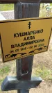 Захоронение ID 3568466