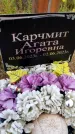 Захоронение ID 3568489