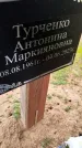Захоронение ID 3568643