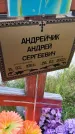 Захоронение ID 3568769