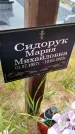 Захоронение ID 3568777