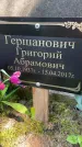 Захоронение ID 3568961