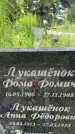 Захоронение ID 3568997
