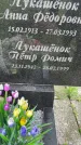 Захоронение ID 3569001