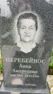 Захоронение ID 3569017