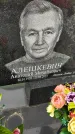 Захоронение ID 3569099