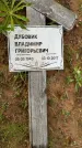 Захоронение ID 3569165