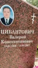 Захоронение ID 3569220