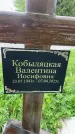 Захоронение ID 3569221