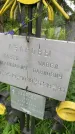 Захоронение ID 3569242