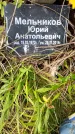 Захоронение ID 3569263