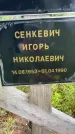 Захоронение ID 3569265