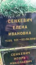 Захоронение ID 3569298