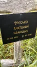 Захоронение ID 3569356