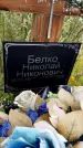 Захоронение ID 3569375