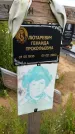 Захоронение ID 3569458