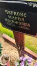 Захоронение ID 3569472