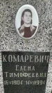 Захоронение ID 3569535