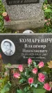 Захоронение ID 3569536
