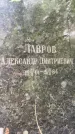Захоронение ID 3569562