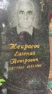 Захоронение ID 3569567