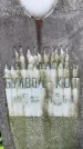 Захоронение ID 3569580