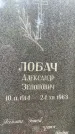 Захоронение ID 3569638