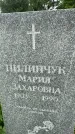 Захоронение ID 3569661