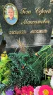 Захоронение ID 3569705